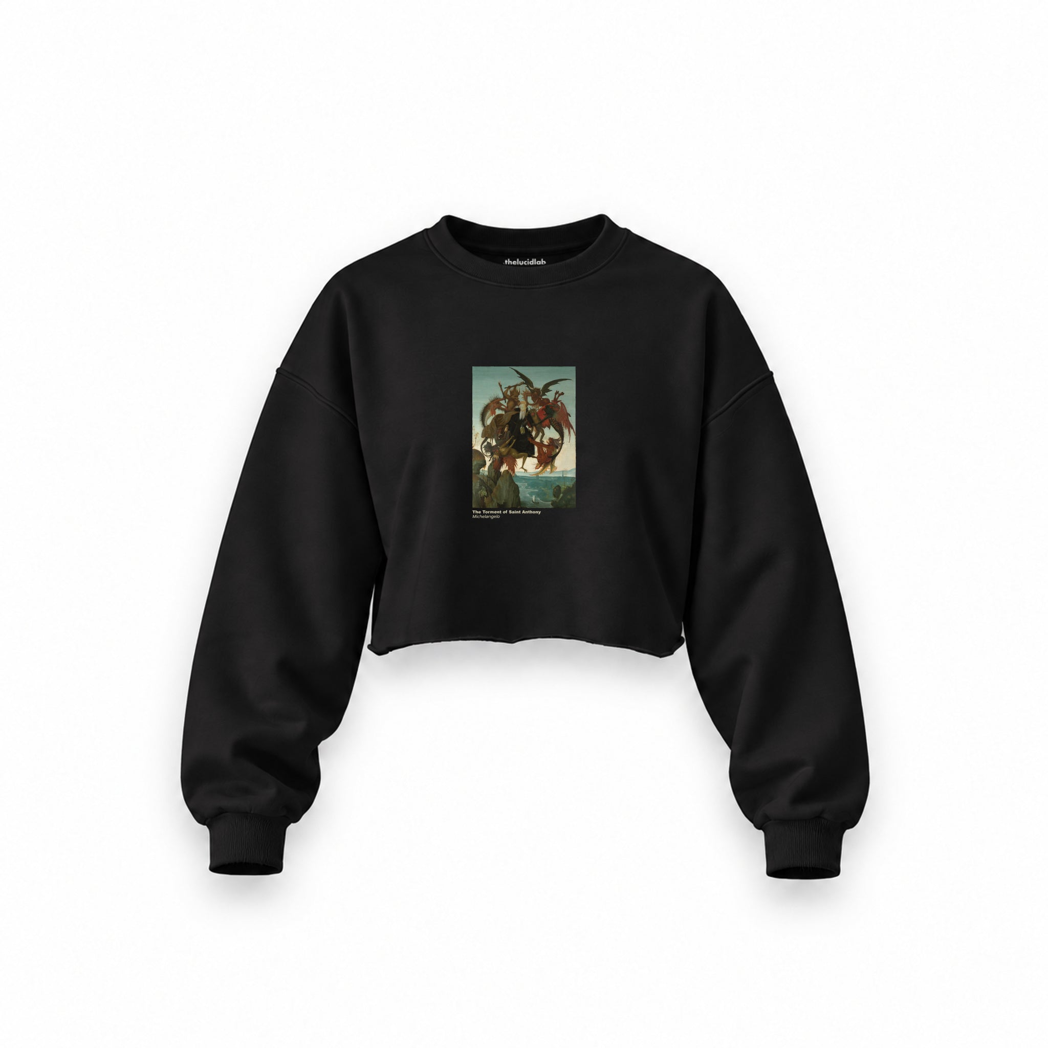 The Torment of Saint Anthony Oversize Crop Sweatshirt – Siyah