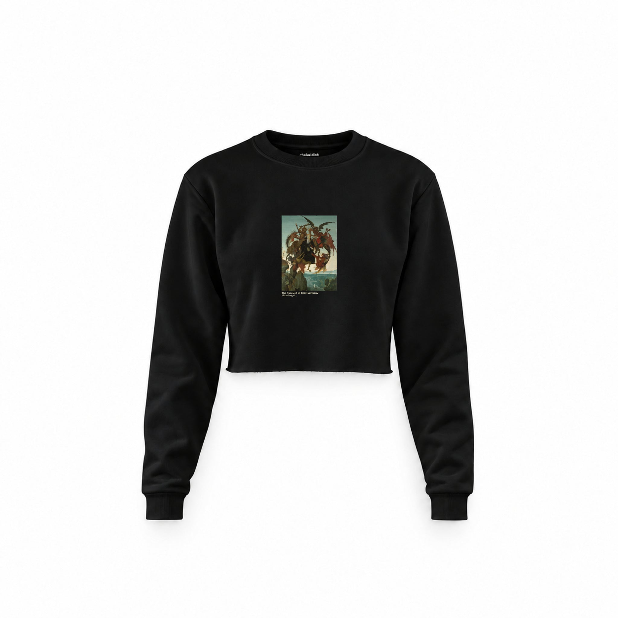 The Torment of Saint Anthony Crop Sweatshirt – Siyah