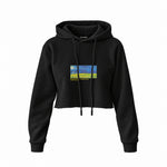 Wheatfield under Thunderclouds Crop Hoodie – Siyah