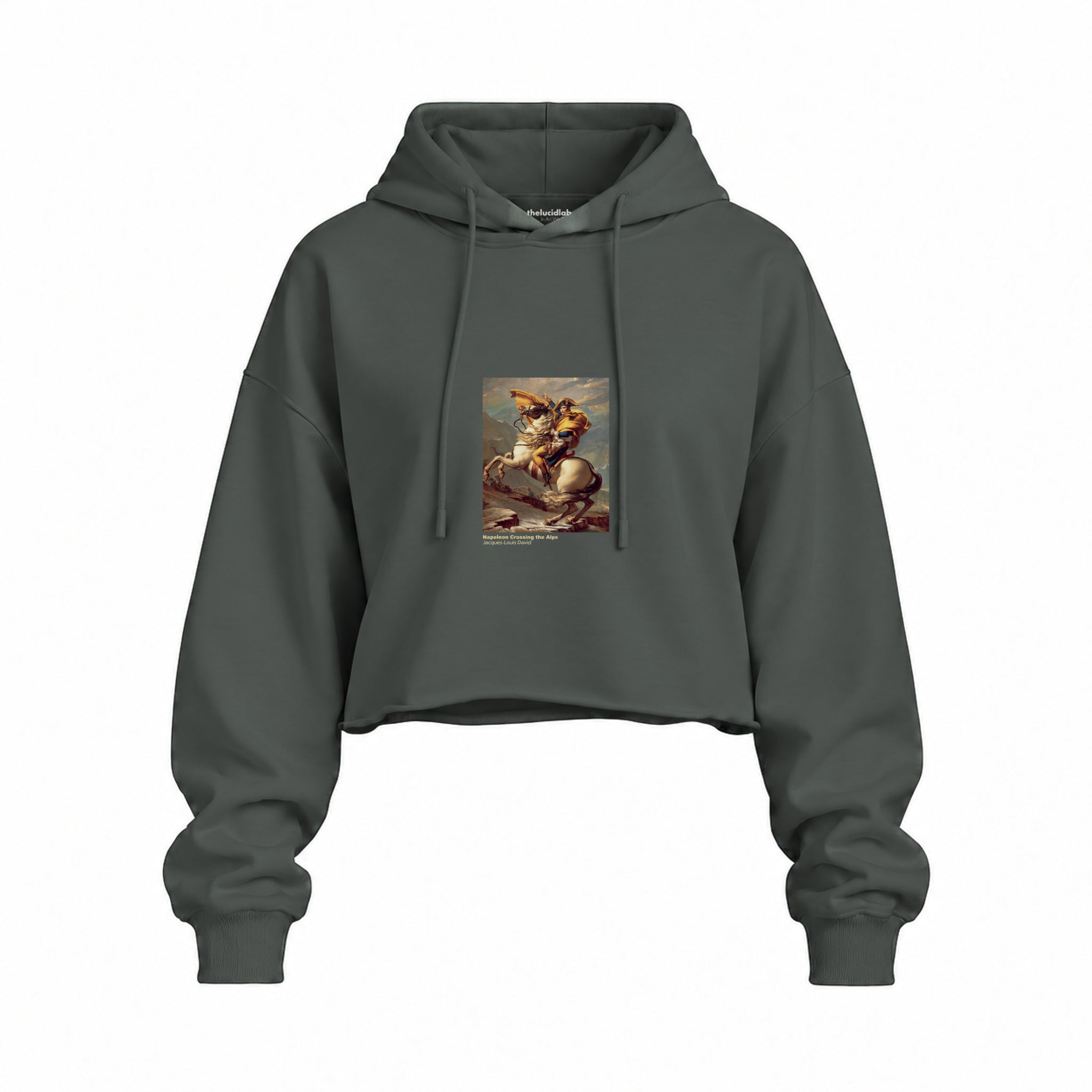 Napoleon Crossing the Alps Oversize Crop Hoodie – Antrasit
