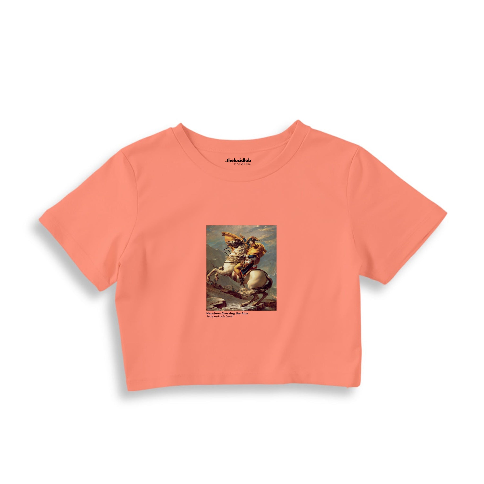 Napoleon Crossing the Alps Crop Tişört – Somon