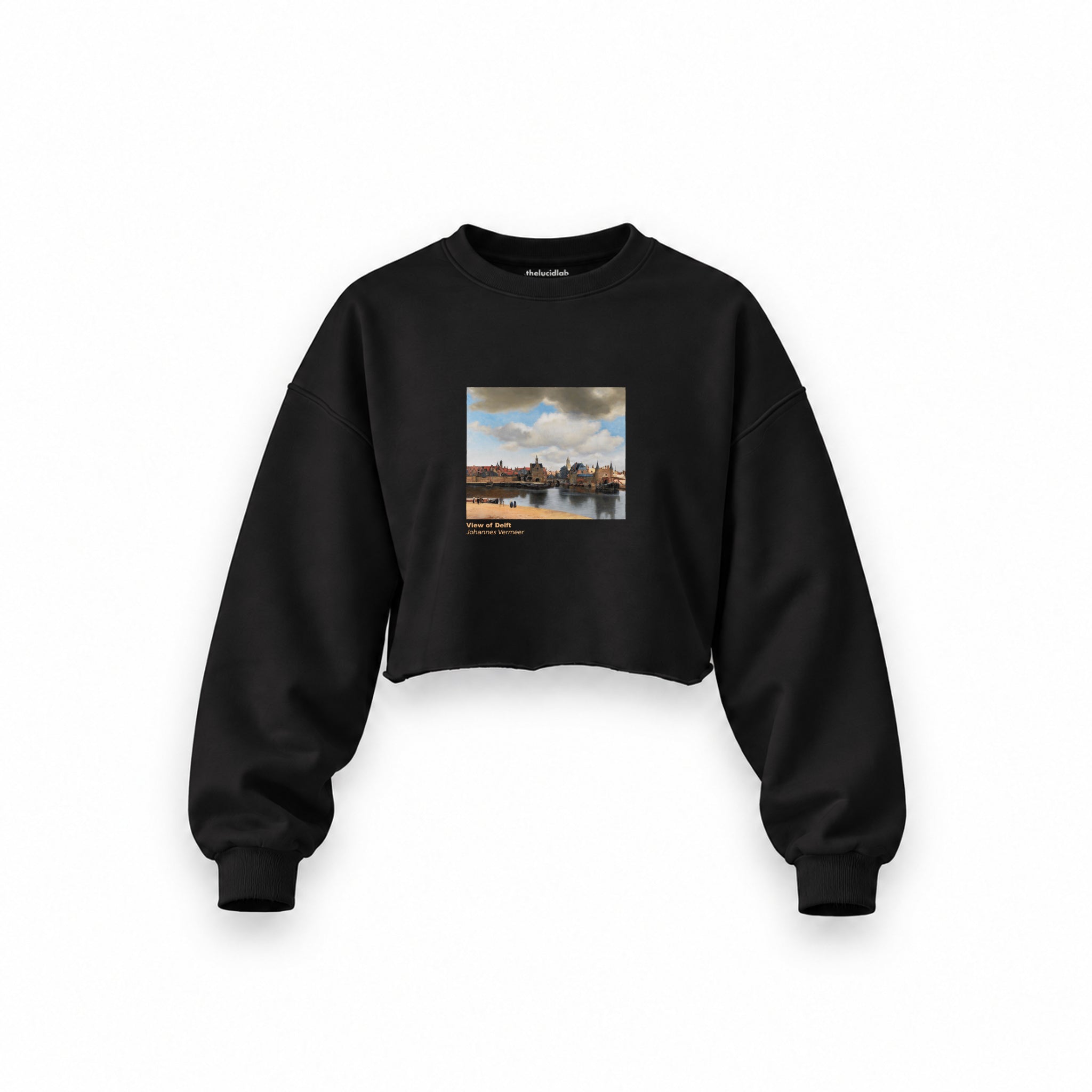 View of Delft Oversize Crop Sweatshirt – Siyah