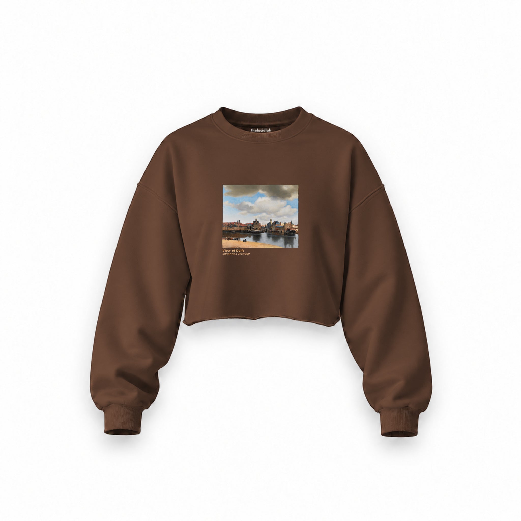 View of Delft Oversize Crop Sweatshirt – Kahverengi