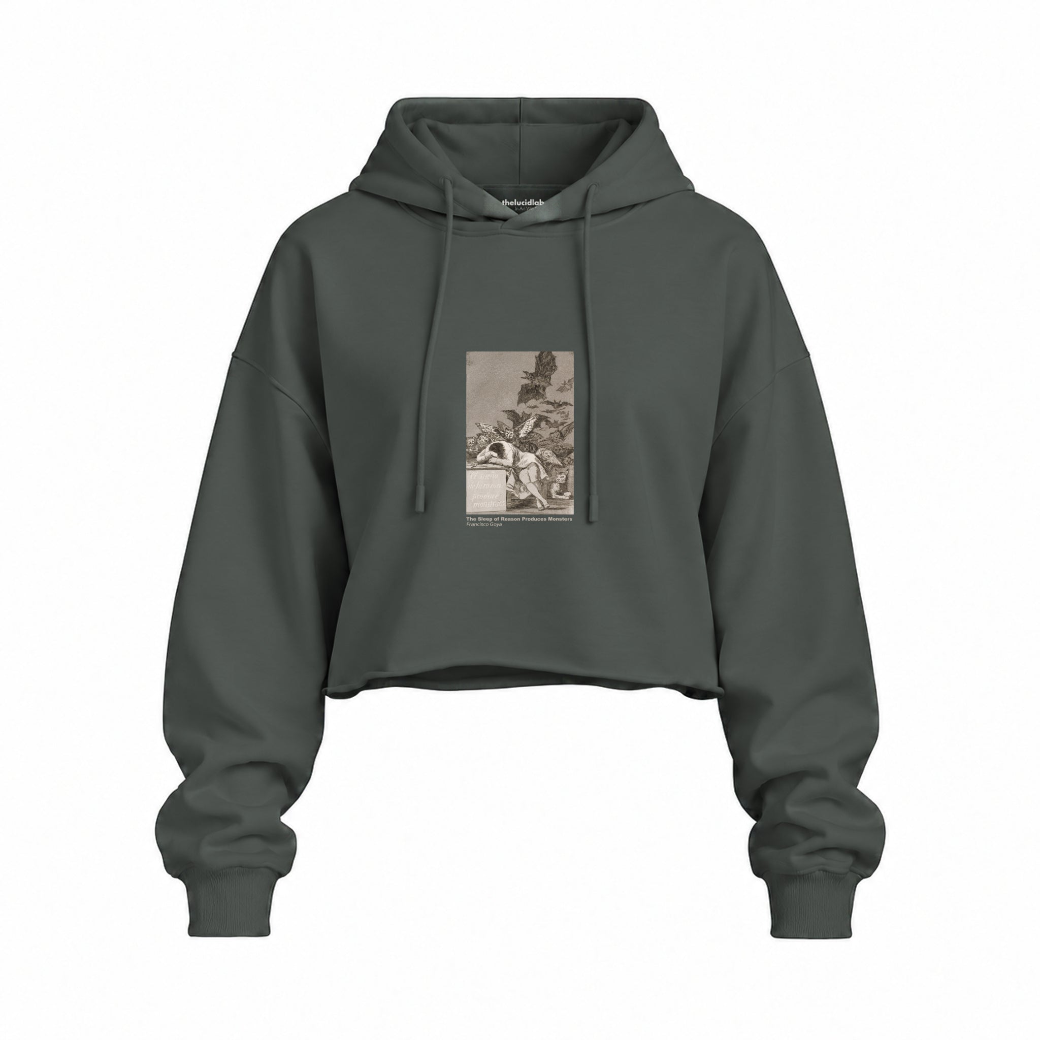 The Sleep of Reason Produces Monsters Oversize Crop Hoodie – Antrasit
