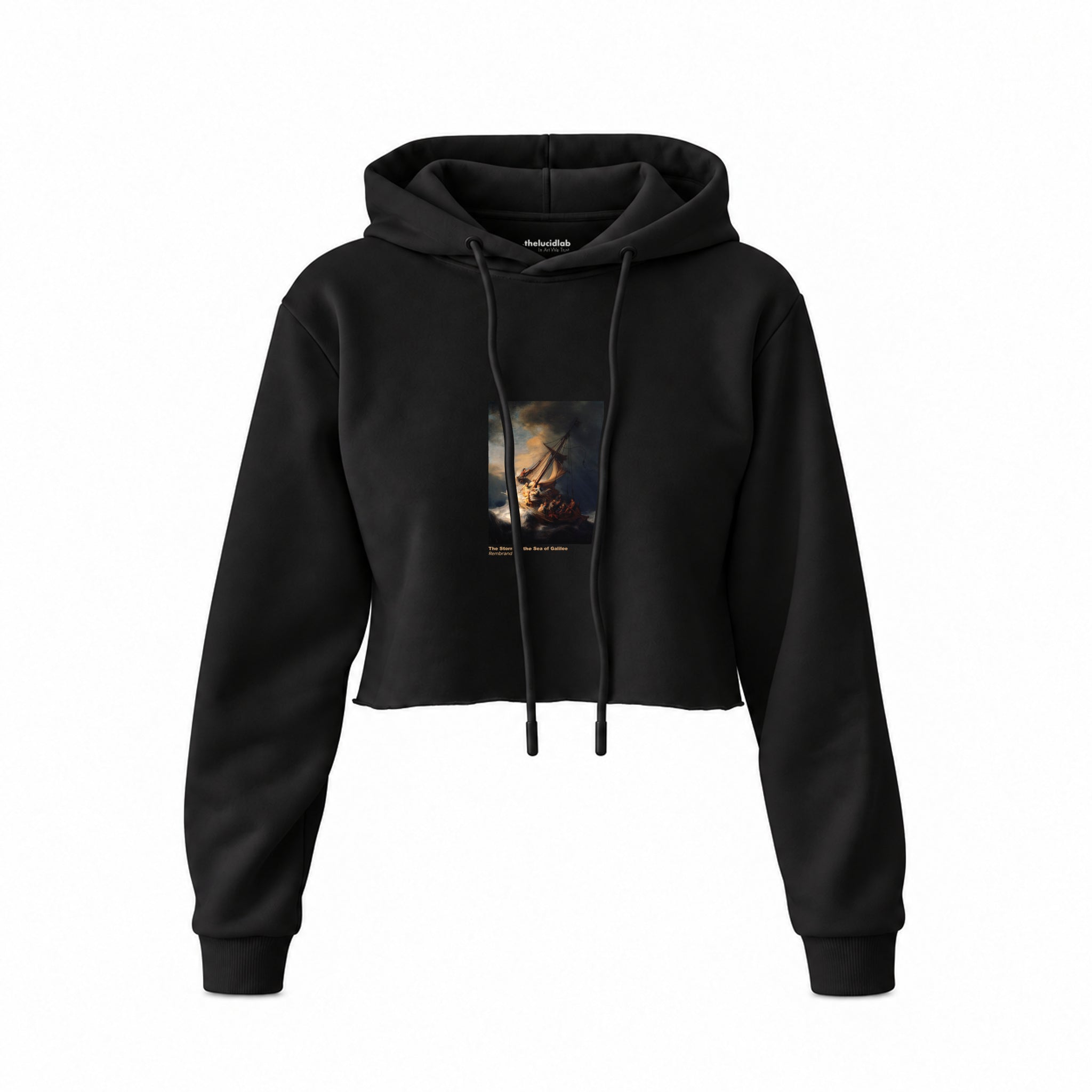 The Storm on the Sea of Galilee Crop Hoodie – Siyah