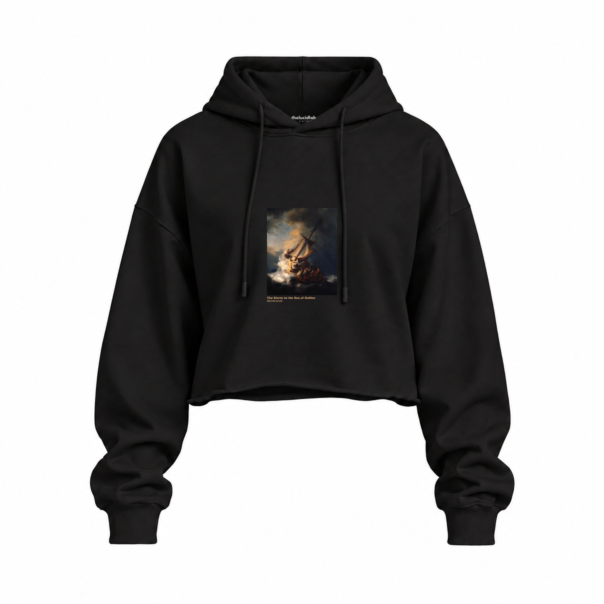 The Storm on the Sea of Galilee Oversize Crop Hoodie – Siyah