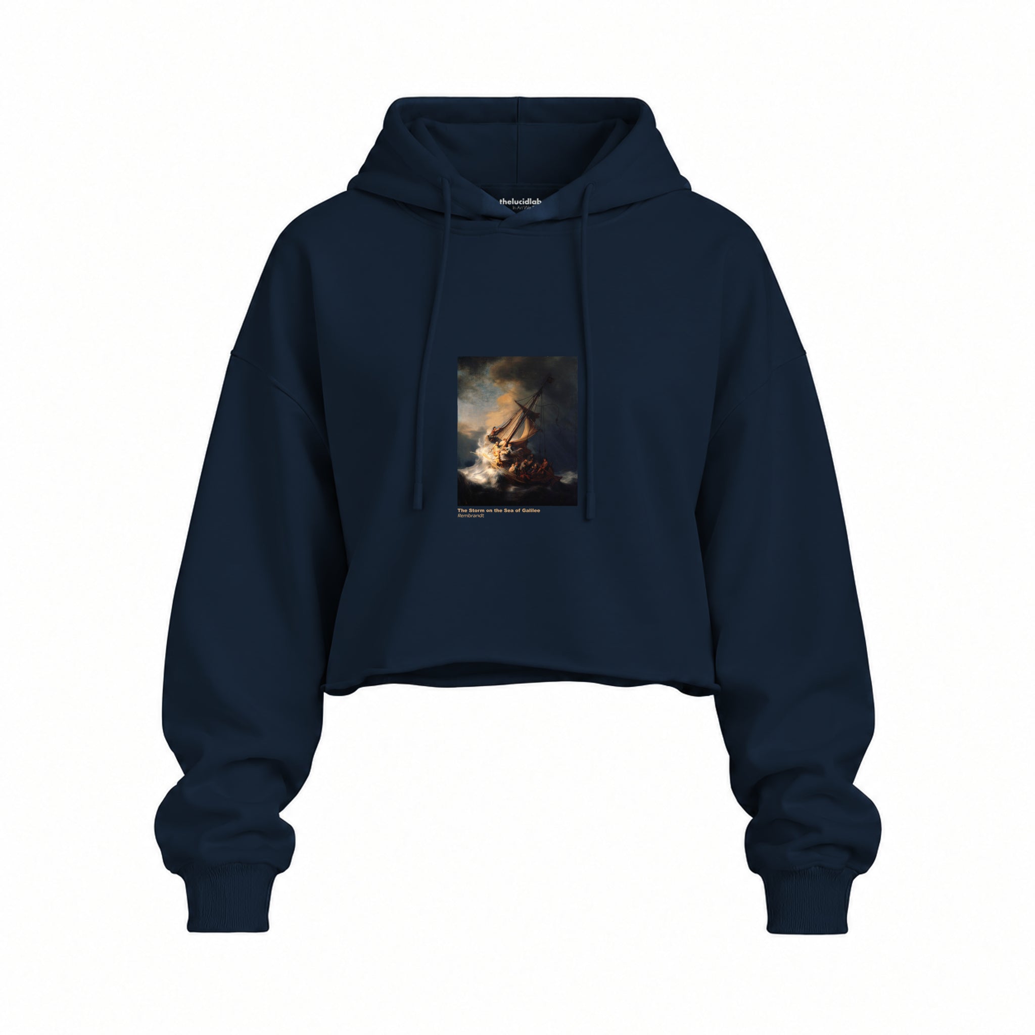 The Storm on the Sea of Galilee Oversize Crop Hoodie – Lacivert