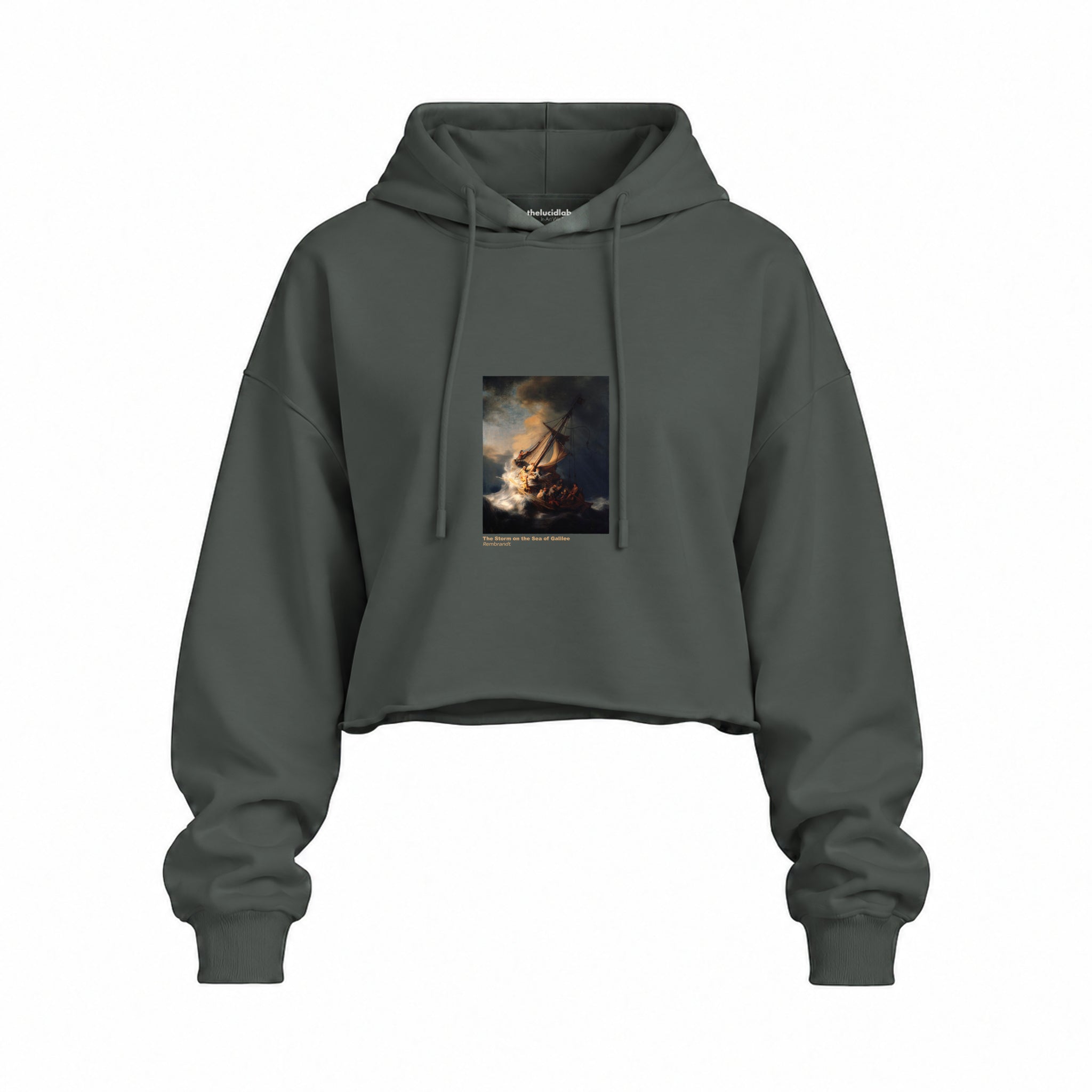 The Storm on the Sea of Galilee Oversize Crop Hoodie – Antrasit