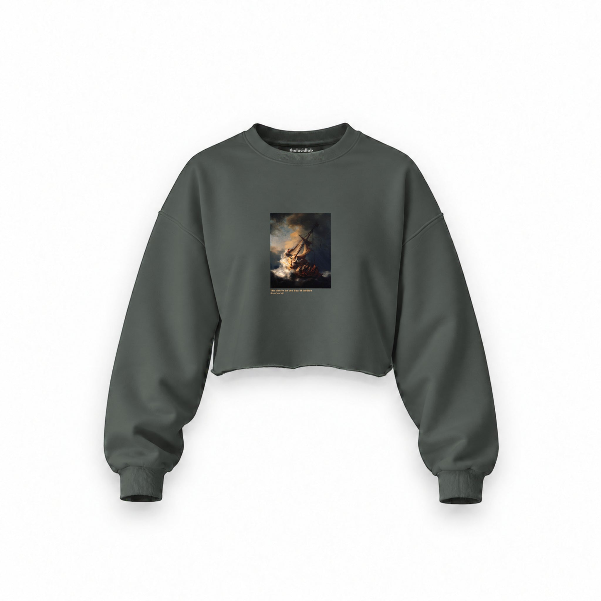 The Storm on the Sea of Galilee Oversize Crop Sweatshirt – Antrasit