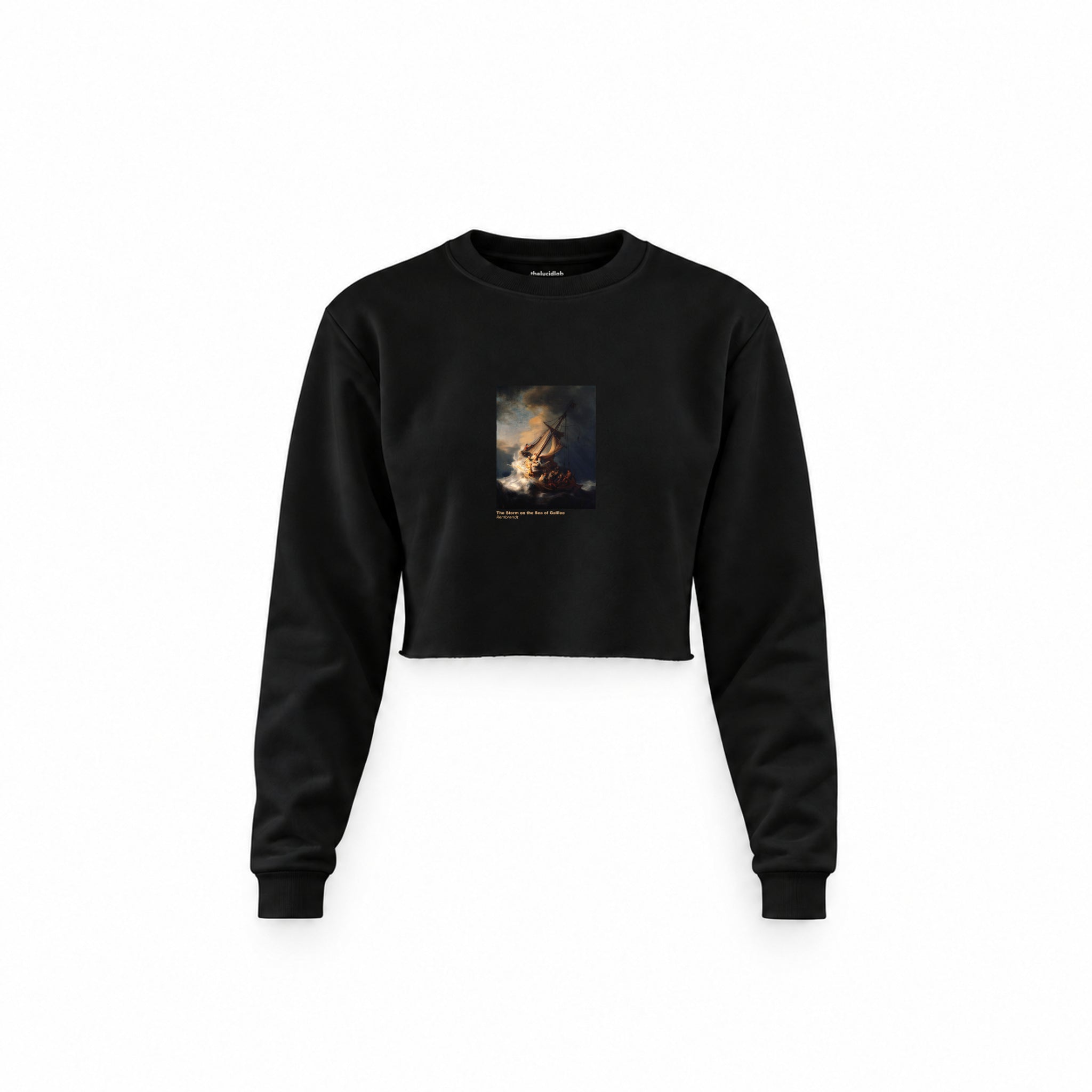The Storm on the Sea of Galilee Crop Sweatshirt – Siyah