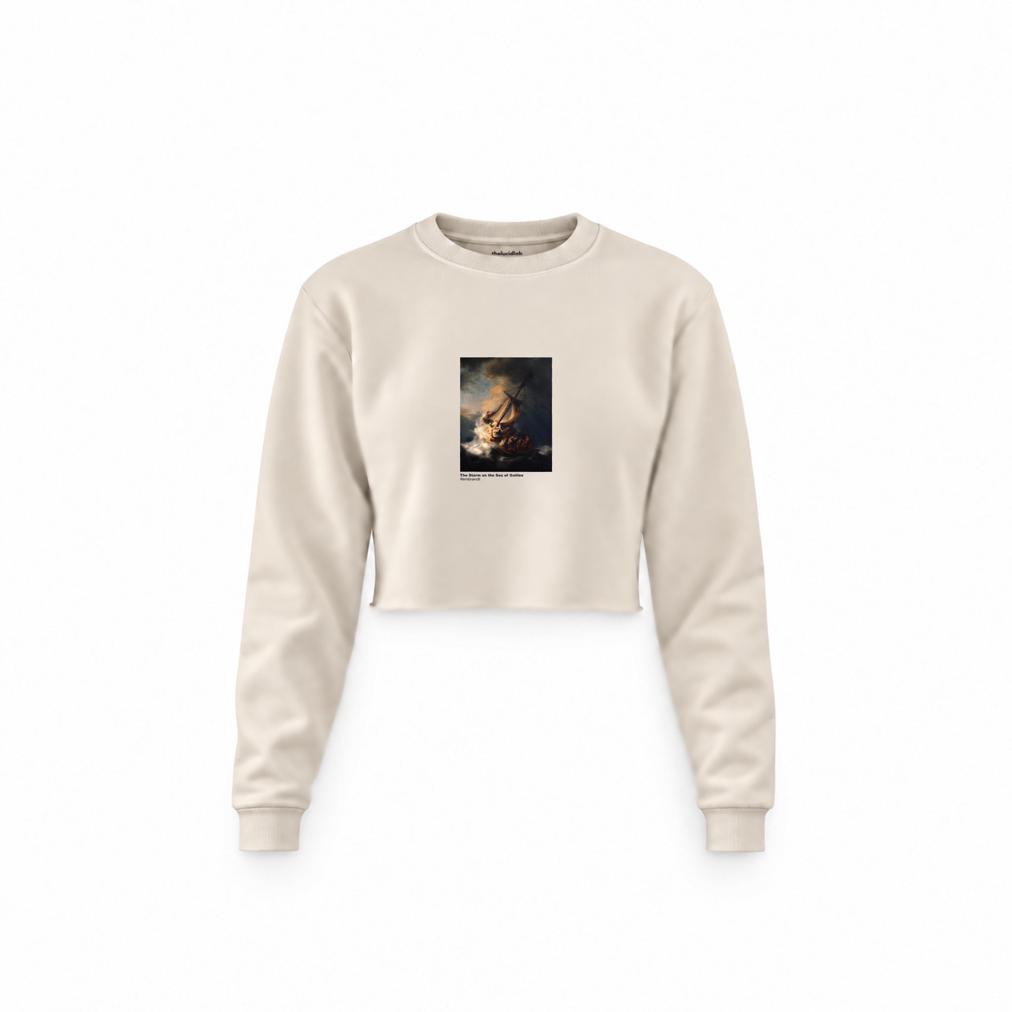 The Storm on the Sea of Galilee Crop Sweatshirt – Krem