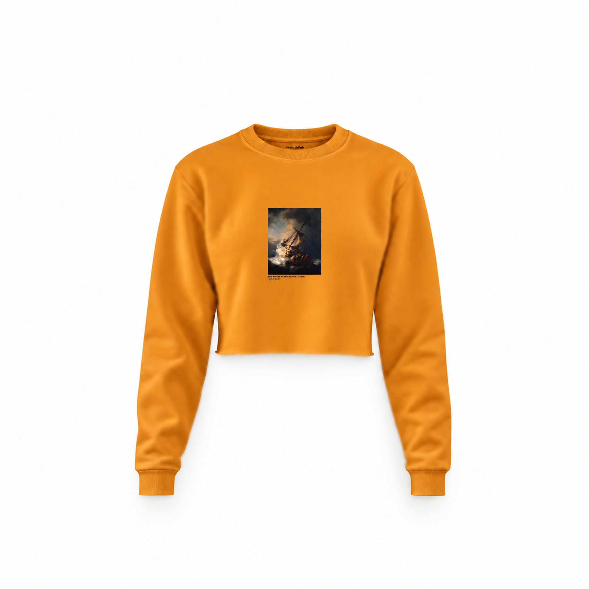 The Storm on the Sea of Galilee Crop Sweatshirt – Turuncu