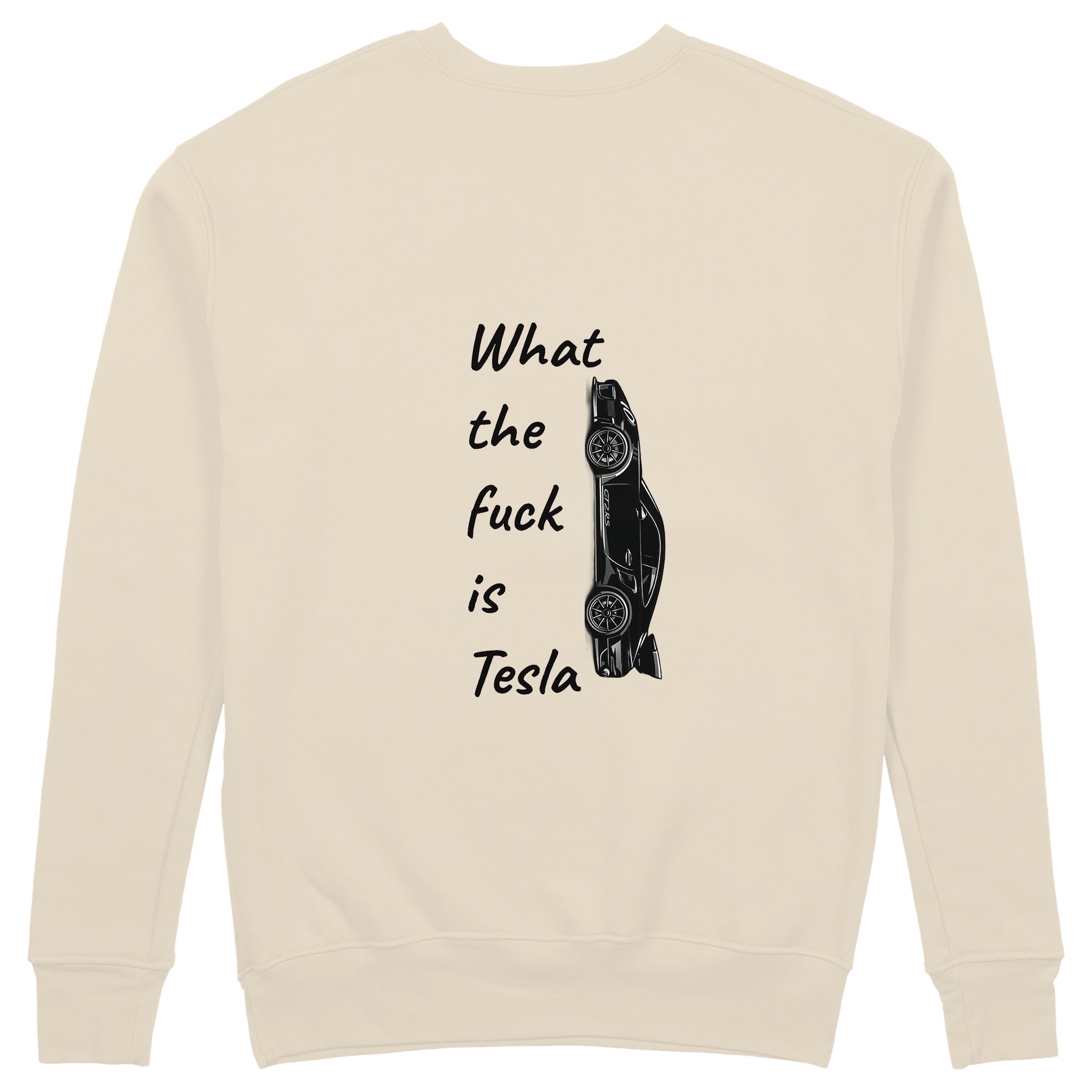 What The Fuck Is Tesla Sweatshirt - Bej - arka görünüm