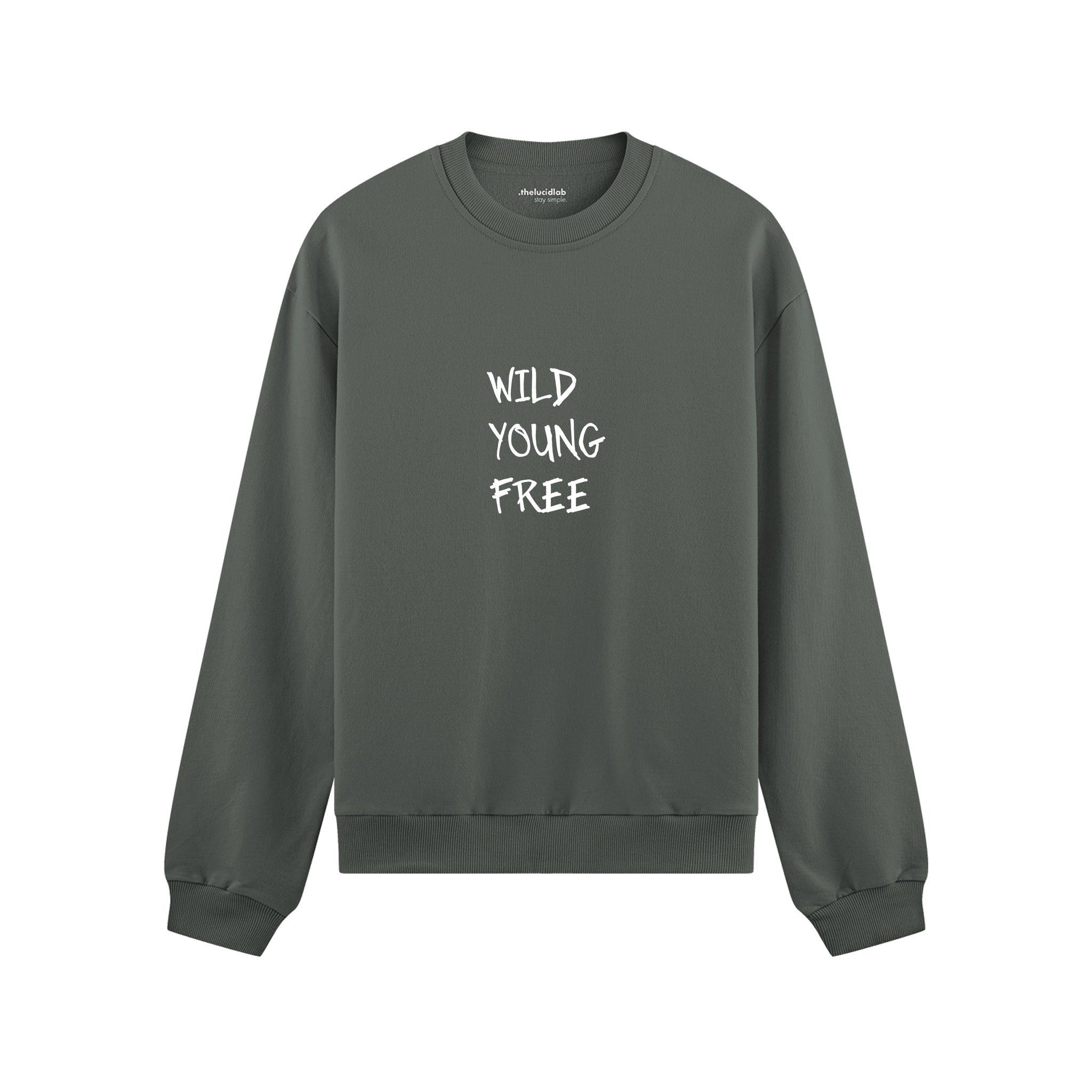 Young Wild Free Oversize Sweatshirt - Antrasit - ön görünüm