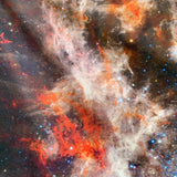 Cosmic Tarantula - James Webb Polar TV Blanket